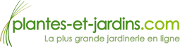 plantes et jardins