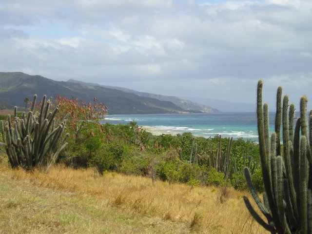 Photograph