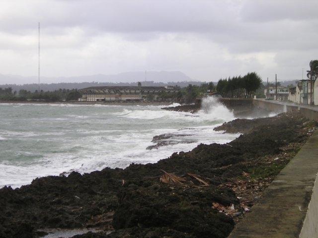 Photograph