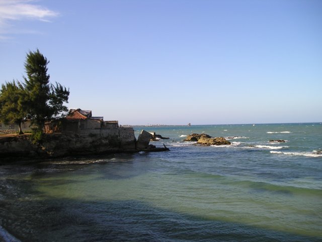 Photograph