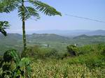 view of the Jungle, Chiapas