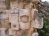 Photo Number 5