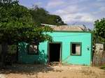 little green house