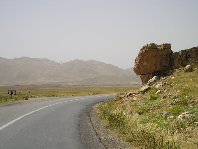 Photograph