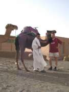 Photo Number 14
